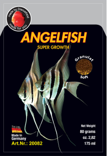 angelfish_20082.jpg