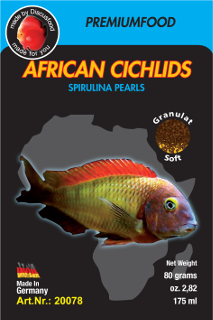 african cichlids special_20078.jpg