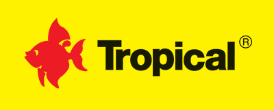 Tropical-Forum.jpg